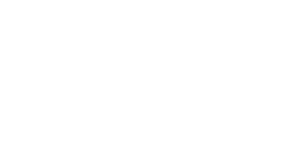 Boston Chimney Sweep